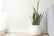 Homely FINDS - Home