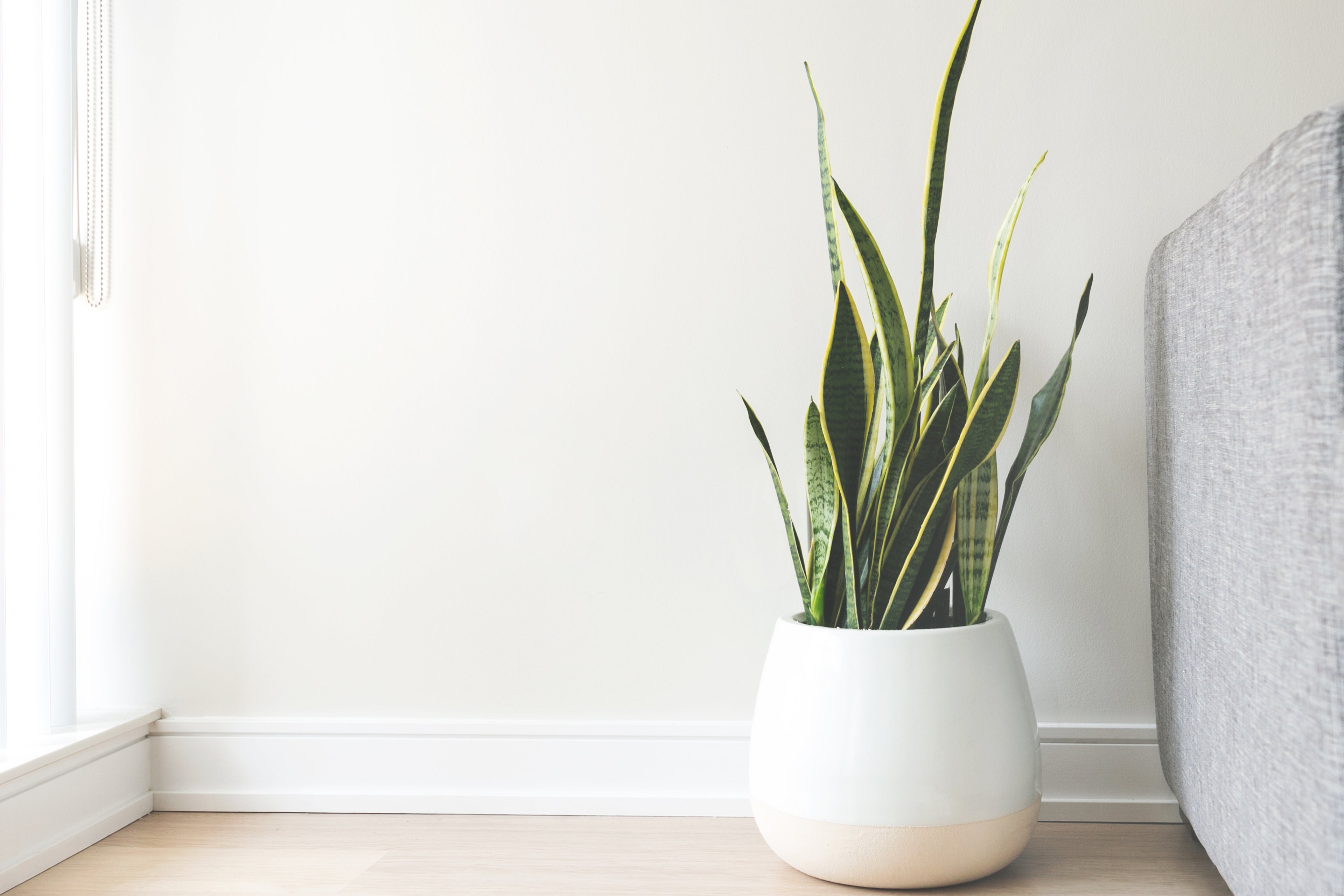 Homely FINDS